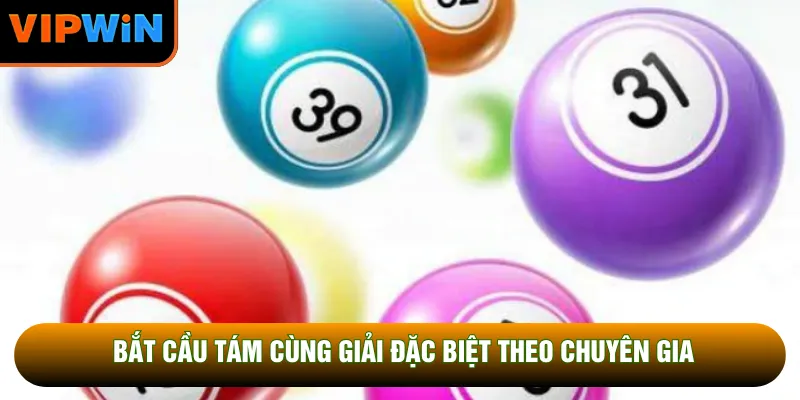 Bắt cầu Tám cùng giải đặc biệt theo chuyên gia Bắt cầu Tám cùng giải đặc biệt theo chuyên gia