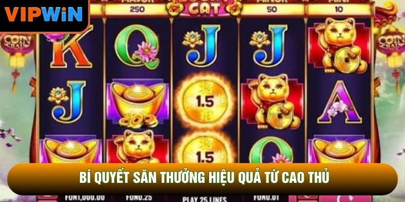Bí quyết săn thưởng hiệu quả từ cao thủ Bí quyết săn thưởng hiệu quả từ cao thủ