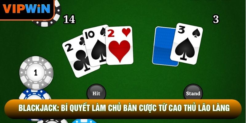 Blackjack: Bí Quyết Làm Chủ Bàn Cược Từ Cao Thủ Lão Làng