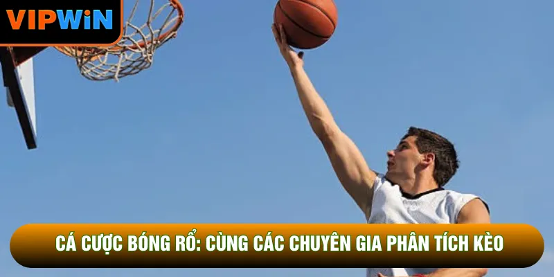 Cá Cược Bóng Rổ: Cùng Các Chuyên Gia Phân Tích Kèo
