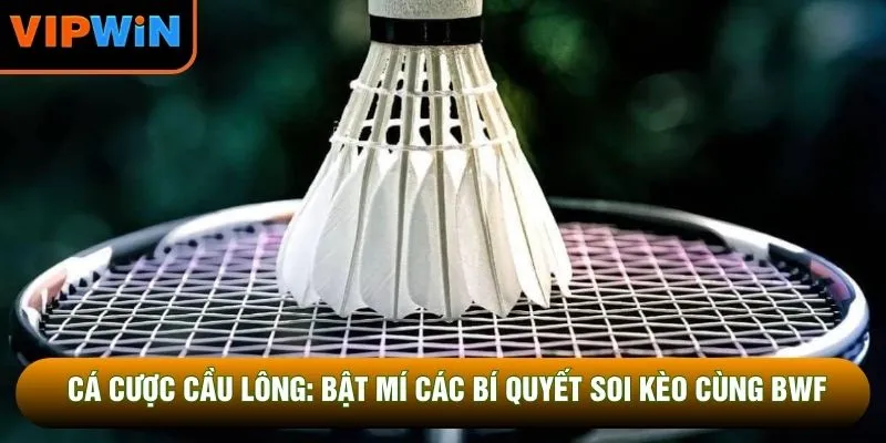 Cá Cược Cầu Lông: Bật Mí Các Bí Quyết Soi Kèo Cùng BWF
