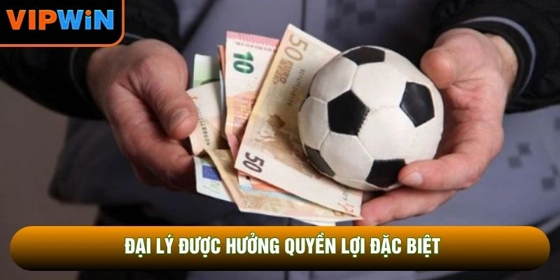 Đại lý được hưởng quyền lợi đặc biệt Đại lý được hưởng quyền lợi đặc biệt