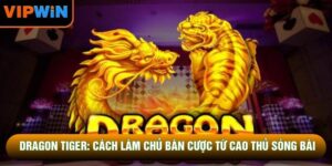 Dragon Tiger: Cách Làm Chủ Bàn Cược Từ Cao Thủ Sòng Bài
