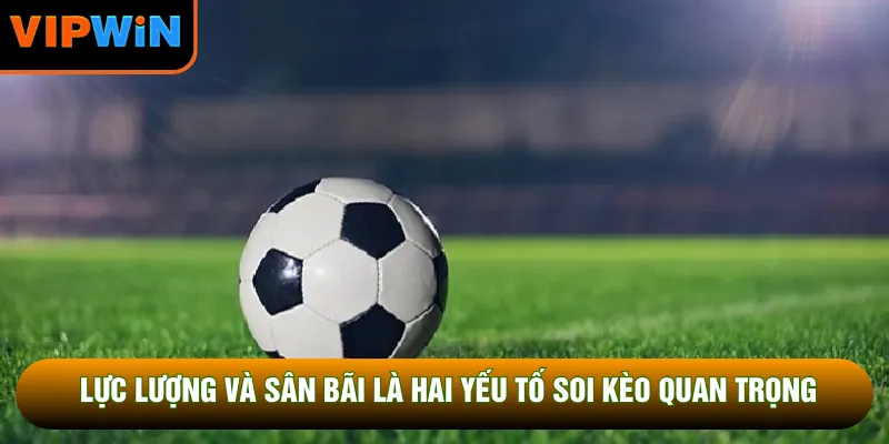 Lực lượng và sân bãi là hai yếu tố soi kèo quan trọng Lực lượng và sân bãi là hai yếu tố soi kèo quan trọng