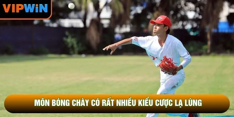 Môn bóng chày có rất nhiều kiểu cược lạ lùng Môn bóng chày có rất nhiều kiểu cược lạ lùng
