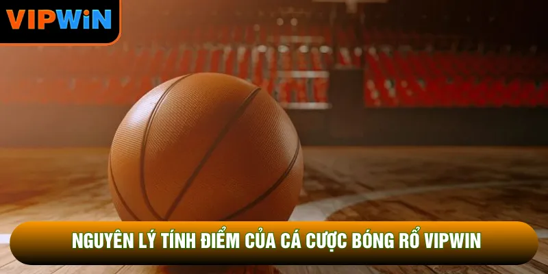 Nguyên lý tính điểm của cá cược bóng rổ VIPWIN Nguyên lý tính điểm của cá cược bóng rổ VIPWIN